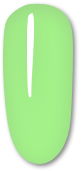 116 Salad