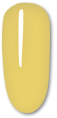 111 Olive