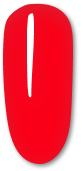 147 Watermelon